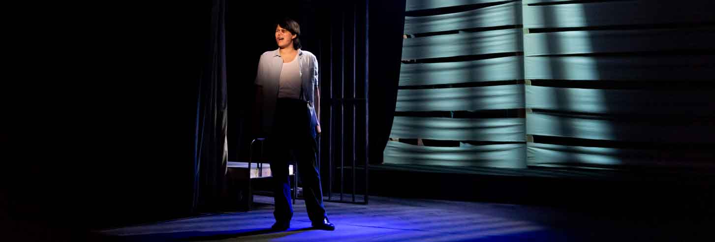 banner image musicals banner