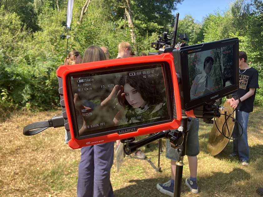 Director's monitors